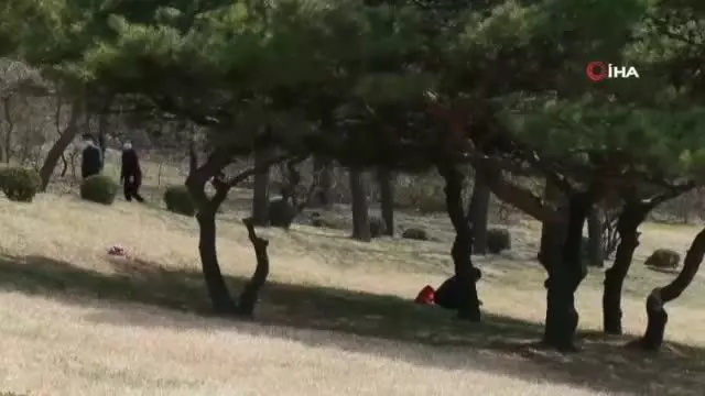 Kuzey Kore: 'Ülkede korona virüs vakasına rastlanmadı' Kuzey Kore: 'Ülkede korona virüs vakasına rastlanmadı'