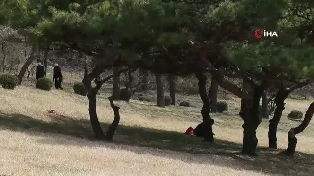 - Kuzey Kore: 'Ülkede korona virüs vakasına rastlanmadı' - Kuzey Kore: 'Ülkede korona virüs vakasına rastlanmadı'