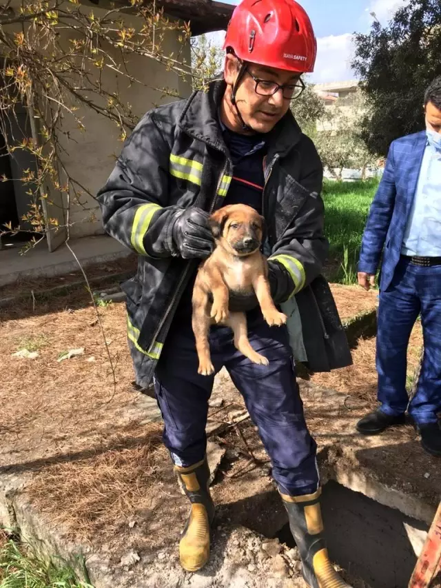 Fırtınada yuvası uçan leyleklere itfaiyeden yardım eli Fırtınada yuvası uçan leyleklere itfaiyeden yardım eli