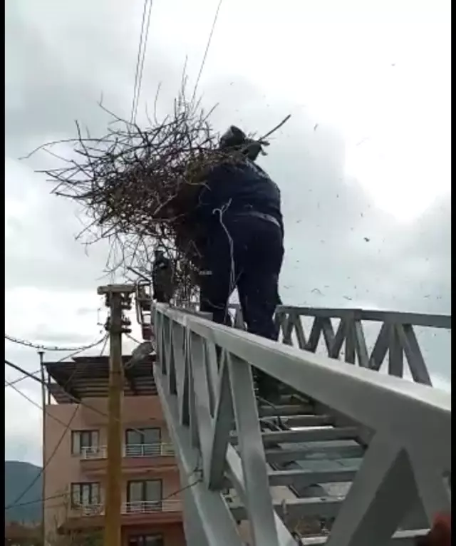 Fırtınada yuvası uçan leyleklere itfaiyeden yardım eli Fırtınada yuvası uçan leyleklere itfaiyeden yardım eli