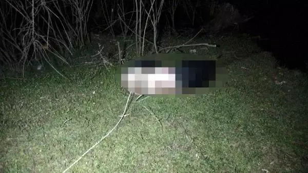 Meriç Nehri'nde balıkçılar tarafından erkek cesedi bulundu Meriç Nehri'nde balıkçılar tarafından erkek cesedi bulundu