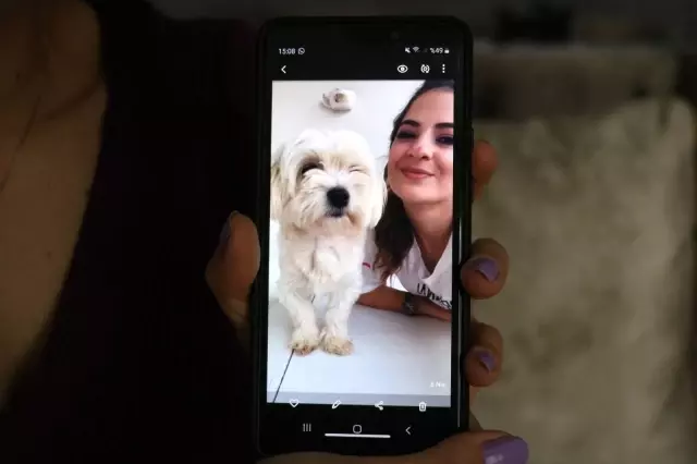 MS hastası genç kız 'o olmadan yaşayamam' dediği köpeğini getirene 2 bin lira ödül verecek MS hastası genç kız 'o olmadan yaşayamam' dediği köpeğini getirene 2 bin lira ödül verecek
