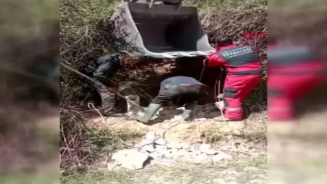 MUĞLA KUYUYA DÜŞEN İNEK KEPÇE YARDIMI İLE KURTARILDI MUĞLA KUYUYA DÜŞEN İNEK KEPÇE YARDIMI İLE KURTARILDI