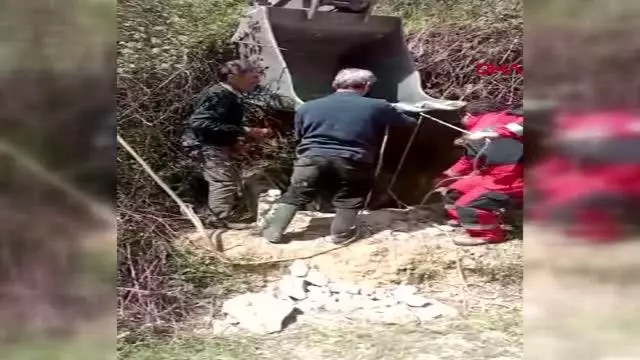 MUĞLA KUYUYA DÜŞEN İNEK KEPÇE YARDIMI İLE KURTARILDI MUĞLA KUYUYA DÜŞEN İNEK KEPÇE YARDIMI İLE KURTARILDI