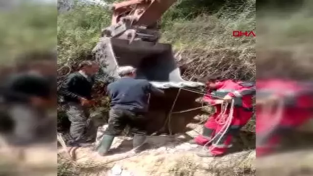 MUĞLA KUYUYA DÜŞEN İNEK KEPÇE YARDIMI İLE KURTARILDI MUĞLA KUYUYA DÜŞEN İNEK KEPÇE YARDIMI İLE KURTARILDI