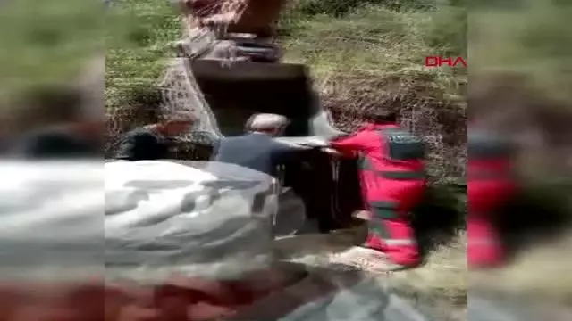 MUĞLA KUYUYA DÜŞEN İNEK KEPÇE YARDIMI İLE KURTARILDI MUĞLA KUYUYA DÜŞEN İNEK KEPÇE YARDIMI İLE KURTARILDI