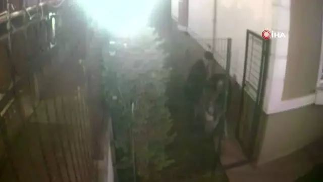 Ölen İsrailli genç kızın babası ve ağabeyi hakkında istenen ceza belli oldu Ölen İsrailli genç kızın babası ve ağabeyi hakkında istenen ceza belli oldu
