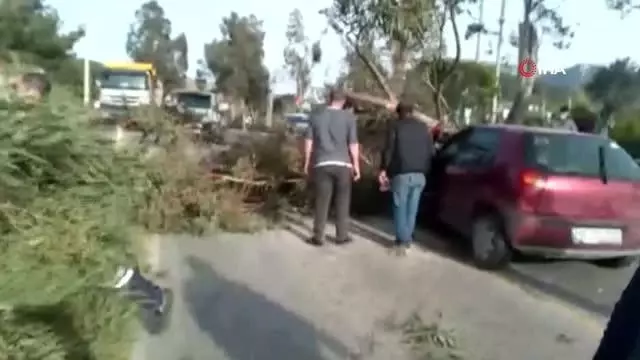 Otomobilin üzerine yıkılan ağaç 3 kişi yaralandı Otomobilin üzerine yıkılan ağaç 3 kişi yaralandı