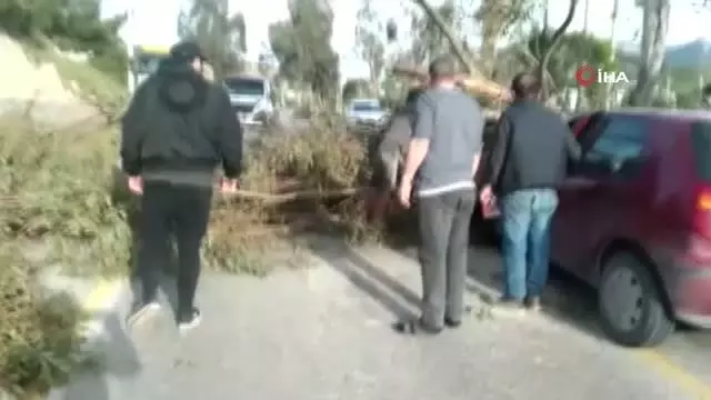 Otomobilin üzerine yıkılan ağaç 3 kişi yaralandı Otomobilin üzerine yıkılan ağaç 3 kişi yaralandı