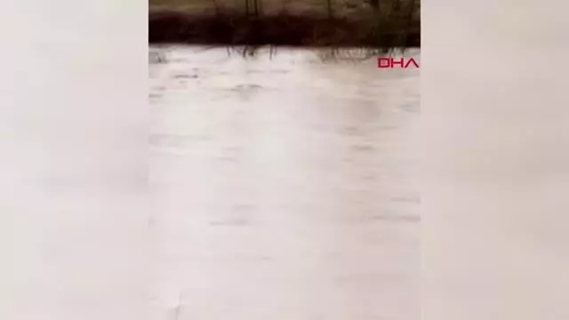 SAĞANAK SONRASI DERENİN SULARINA KAPILAN DANA KAYBOLDU, O ANLAR KAMERAYA YANSIDI SAĞANAK SONRASI DERENİN SULARINA KAPILAN DANA KAYBOLDU, O ANLAR KAMERAYA YANSIDI