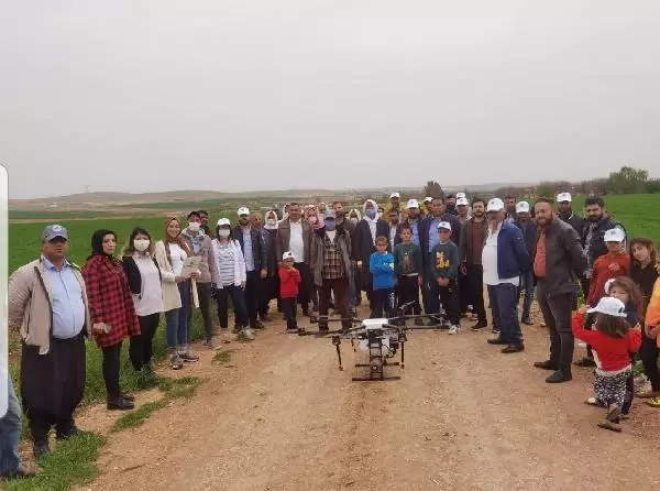 ŞANLIURFA'DA TARLALARA DRONLU İLAÇLAMA ŞANLIURFA'DA TARLALARA DRONLU İLAÇLAMA