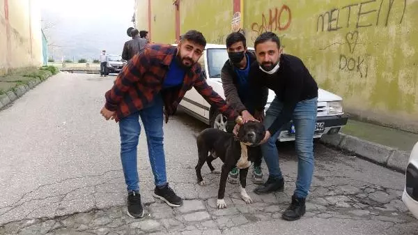 SAPIK, 'KARLOS' ADLI KÖPEĞİN BACAĞINDAN ISIRMASIYLA YAKALANDI SAPIK, 'KARLOS' ADLI KÖPEĞİN BACAĞINDAN ISIRMASIYLA YAKALANDI