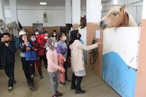 VAN SINIF BAŞKANININ VAATLERİNİ, BELEDİYE BAŞKANI GERÇEKLEŞTİRDİ VAN SINIF BAŞKANININ VAATLERİNİ, BELEDİYE BAŞKANI GERÇEKLEŞTİRDİ