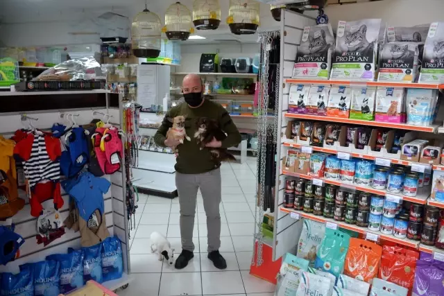 Sinop'ta pandemide sahiplenmeye ilgi arttı Sinop'ta pandemide sahiplenmeye ilgi arttı