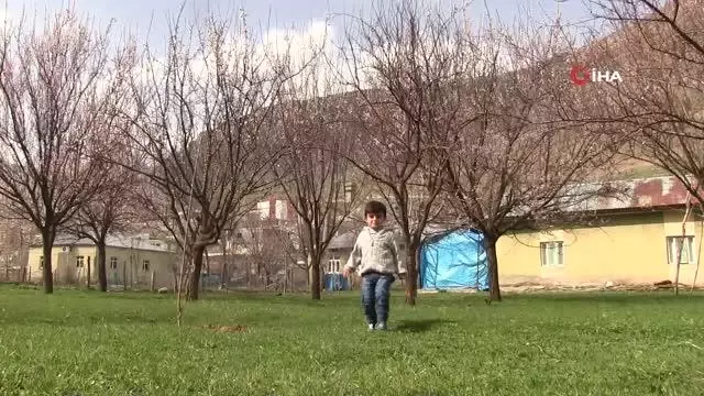 Şırnak dağları sarıya büründü Şırnak dağları sarıya büründü