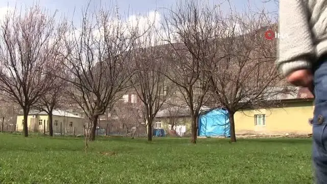 Şırnak dağları sarıya büründü Şırnak dağları sarıya büründü