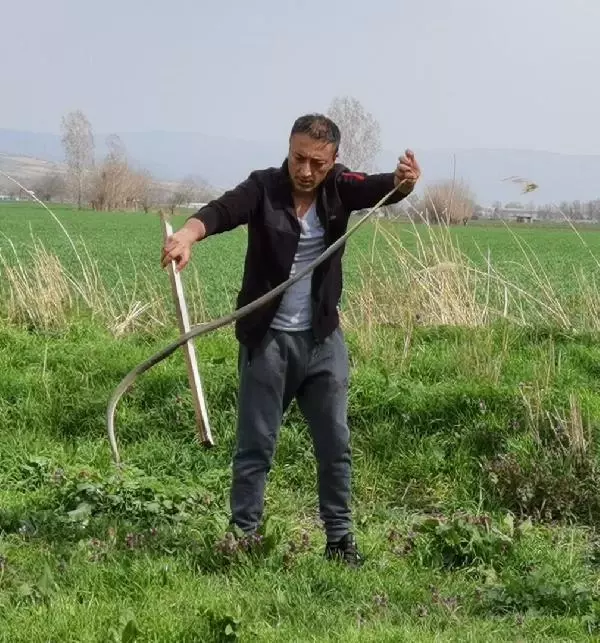 Site bahçesine giren 2 metrelik yılan büyük korku yarattı Site bahçesine giren 2 metrelik yılan büyük korku yarattı