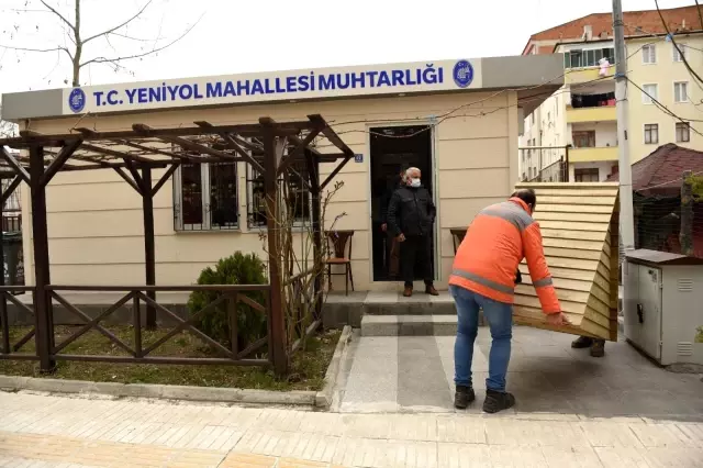 Sokak kedileri ev sahibi oldu Sokak kedileri ev sahibi oldu