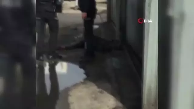 Taciz şüphelisini köpek yakaladı, esnaf dövdü Taciz şüphelisini köpek yakaladı, esnaf dövdü