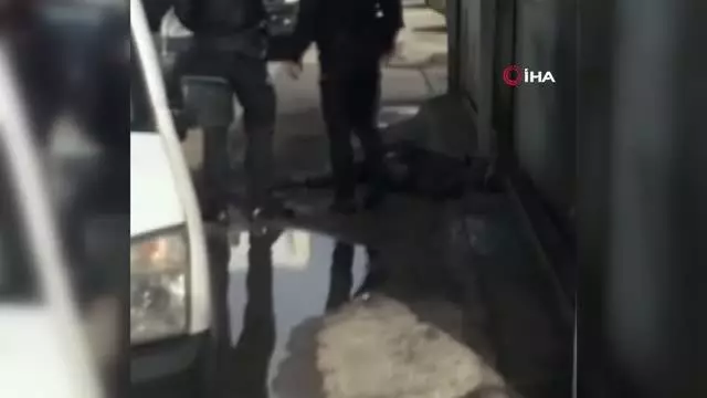 Taciz şüphelisini köpek yakaladı, esnaf dövdü Taciz şüphelisini köpek yakaladı, esnaf dövdü