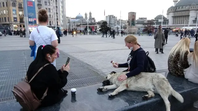 Taksim'de köpeğin turistlerle dondurma keyfi Taksim'de köpeğin turistlerle dondurma keyfi