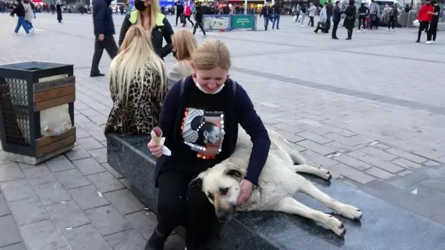 Taksim'de köpeğin turistlerle dondurma keyfi Taksim'de köpeğin turistlerle dondurma keyfi