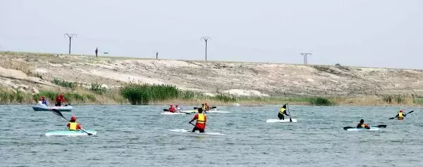 Son dakika haberleri | TEL ABYAD'DA KANO FESTİVALİ HEYECANI Son dakika haberleri | TEL ABYAD'DA KANO FESTİVALİ HEYECANI