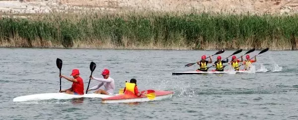 Son dakika haberleri | TEL ABYAD'DA KANO FESTİVALİ HEYECANI Son dakika haberleri | TEL ABYAD'DA KANO FESTİVALİ HEYECANI