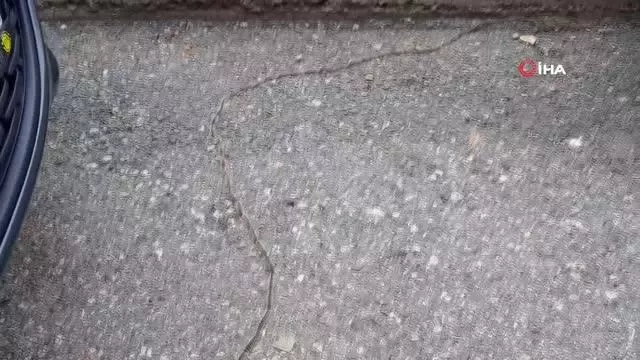 Tırtılların oluşturduğu kuyruk görenleri şaşırttı Tırtılların oluşturduğu kuyruk görenleri şaşırttı