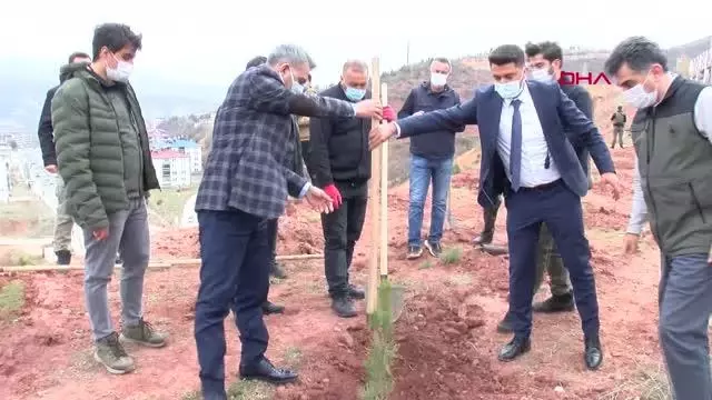 TUNCELİ KADINA YÖNELİK ŞİDDETE KARŞI 262 FİDAN DİKİLDİ TUNCELİ KADINA YÖNELİK ŞİDDETE KARŞI 262 FİDAN DİKİLDİ