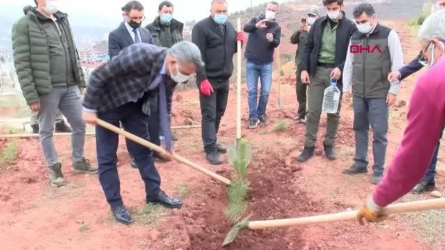 TUNCELİ KADINA YÖNELİK ŞİDDETE KARŞI 262 FİDAN DİKİLDİ TUNCELİ KADINA YÖNELİK ŞİDDETE KARŞI 262 FİDAN DİKİLDİ
