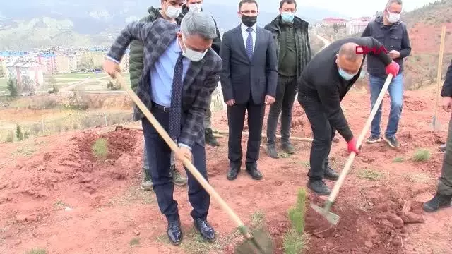 TUNCELİ KADINA YÖNELİK ŞİDDETE KARŞI 262 FİDAN DİKİLDİ TUNCELİ KADINA YÖNELİK ŞİDDETE KARŞI 262 FİDAN DİKİLDİ