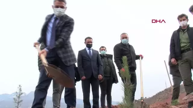 TUNCELİ KADINA YÖNELİK ŞİDDETE KARŞI 262 FİDAN DİKİLDİ TUNCELİ KADINA YÖNELİK ŞİDDETE KARŞI 262 FİDAN DİKİLDİ