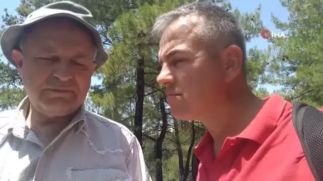 Türkiye'nin 50 milyar dolarlık süs taşı potansiyeli Türkiye'nin 50 milyar dolarlık süs taşı potansiyeli