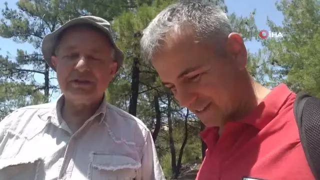 Türkiye'nin 50 milyar dolarlık süs taşı potansiyeli Türkiye'nin 50 milyar dolarlık süs taşı potansiyeli