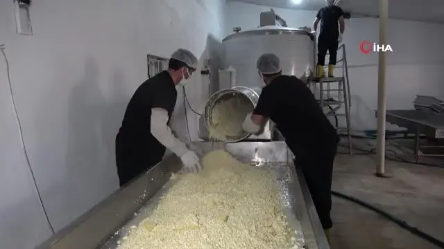 Yarım asırlık işletme, sofraları süsleyen kaşar peyniri üretiyor Yarım asırlık işletme, sofraları süsleyen kaşar peyniri üretiyor