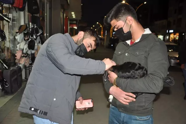 Yeni doğan oğlağa şefkat eli Yeni doğan oğlağa şefkat eli