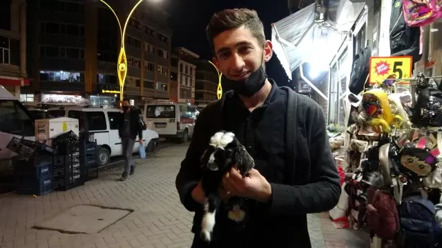 Yeni doğan oğlağa şefkat eli Yeni doğan oğlağa şefkat eli