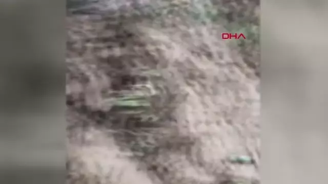 Kayalıklara sıkışan yavru köpeği kurtardı Kayalıklara sıkışan yavru köpeği kurtardı
