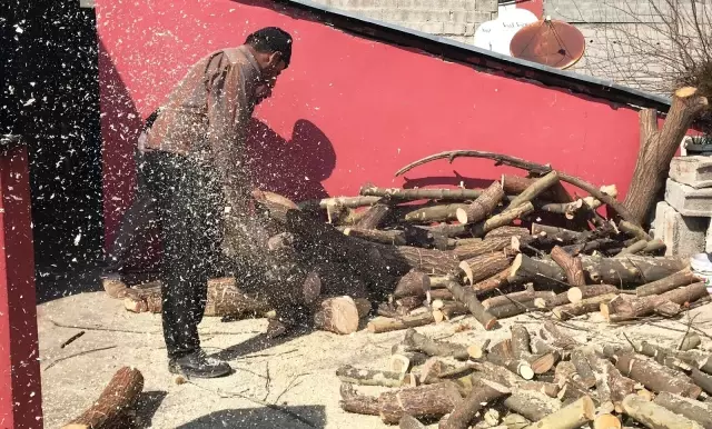 Odun keserek 35 yıldır ailesinin geçimini sağlıyor Odun keserek 35 yıldır ailesinin geçimini sağlıyor