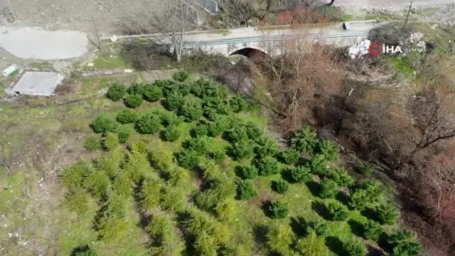 500 yıllık 'Tarihi Viyana Köprüsü' restore edilecek 500 yıllık 'Tarihi Viyana Köprüsü' restore edilecek