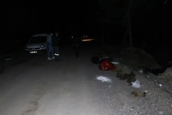Ankara'da damar yolu açılmış 30 köpek ölüsü bulundu Ankara'da damar yolu açılmış 30 köpek ölüsü bulundu
