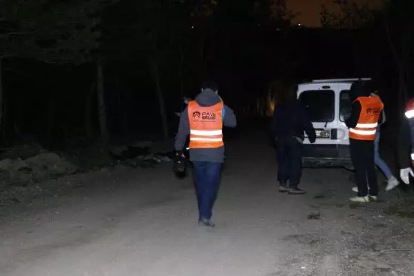 Ankara'da damar yolu açılmış 30 köpek ölüsü bulundu Ankara'da damar yolu açılmış 30 köpek ölüsü bulundu