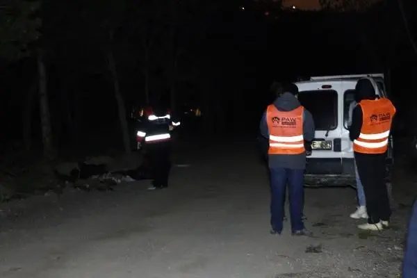 Ankara'da damar yolu açılmış 30 köpek ölüsü bulundu Ankara'da damar yolu açılmış 30 köpek ölüsü bulundu
