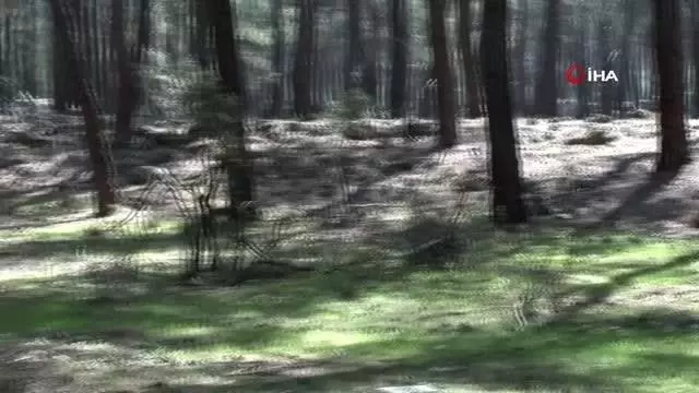 Antalya'da kayıp genç uçurum ve ormanlık alanda aranıyor Antalya'da kayıp genç uçurum ve ormanlık alanda aranıyor