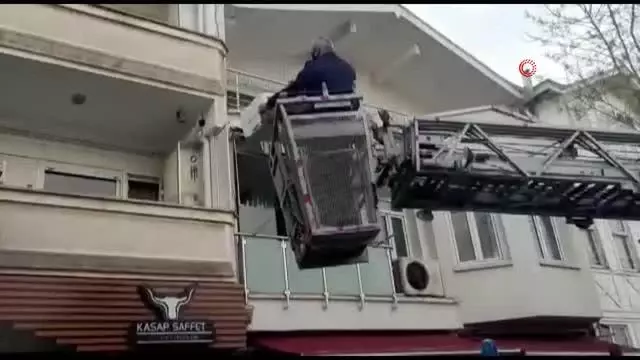 Balkondan düşen yavru kediler martılara yem olmaktan böyle kurtarıldı Balkondan düşen yavru kediler martılara yem olmaktan böyle kurtarıldı