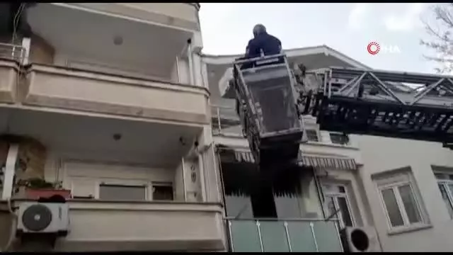 Balkondan düşen yavru kediler martılara yem olmaktan böyle kurtarıldı Balkondan düşen yavru kediler martılara yem olmaktan böyle kurtarıldı