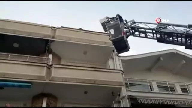 Balkondan düşen yavru kediler martılara yem olmaktan böyle kurtarıldı Balkondan düşen yavru kediler martılara yem olmaktan böyle kurtarıldı