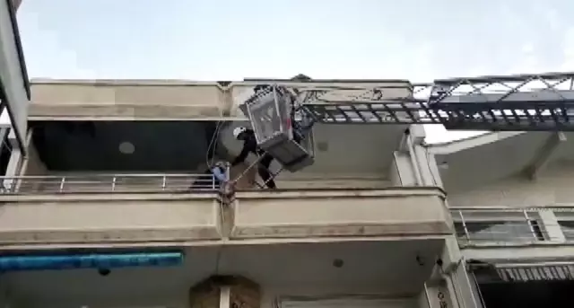 Balkondan düşen yavru kediler martılara yem olmaktan böyle kurtarıldı Balkondan düşen yavru kediler martılara yem olmaktan böyle kurtarıldı