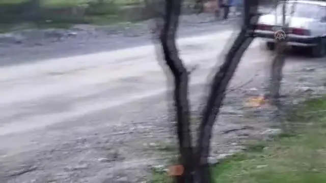 Son dakika gündem: Başkentte boş arazide çok sayıda ölü köpek bulundu Son dakika gündem: Başkentte boş arazide çok sayıda ölü köpek bulundu